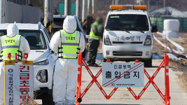 충북 진천 육계 농장서 고병원성 조류인플루엔자 확인
