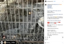 [애피소드] 또 산불…“반려동물 함께 대피할 수 없다면 목줄만이라도”