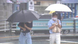 ‘제주·남해안 호우·강풍 예보’ 농작물 피해 예방 총력