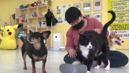 “가족 찾아요”…‘개냥이’ 은영이의 특별한 쉼터
