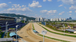 과천 경마공원 관중석에서 50대 남성 쓰러져 숨져