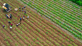 농식품부, 수확기 대비 농촌 인력 지원 확대 추진키로
