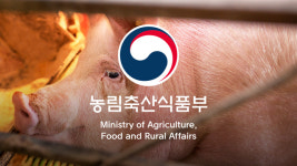 돼지사료 구리·산화아연 함량 감축…기준·규격 개정
