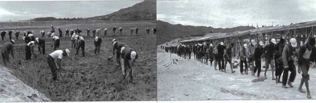 [취재후] 노역과 폭행·강제 결혼까지…1960년대 서산에서 무슨 일이?