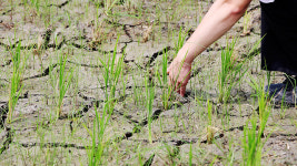 남부지방 가뭄 심화…평림댐, 가뭄 ‘심각’ 단계 진입