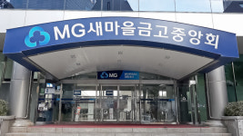 강릉 사천 새마을금고 횡령액 148억 원…전·현직 임직원 고발