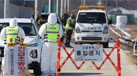 해외 고병원성 AI 발생 83% 증가…다음달 소독·점검