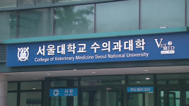 [단독] 서울대 징계위, ‘연구비 유용 의혹’ 이병천 교수 3년 만에 ‘파면’ 의결