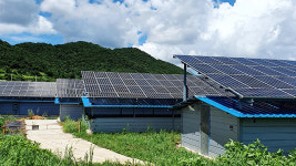 검찰, ‘태양광 비리’ 수사 착수…재정범죄 합수단 첫 사건