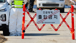 경북 예천 오리 농장서 AI 항원…확진 시 올가을 첫 사례