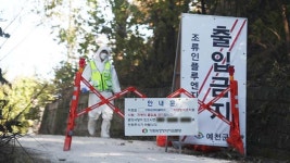 경북 예천 육용종계 농장서 고병원성 AI…올가을 두 번째