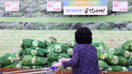 4인가족 김장에 대형마트 기준 47만 3천원…지난해보다 12.7%↑