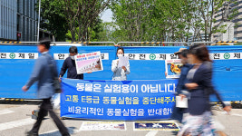 서울 일부 중·고등학교서 동물해부실습…교육청 “시정조치 안내”