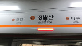 고용부, 한국철도공사·정발산역 압수수색