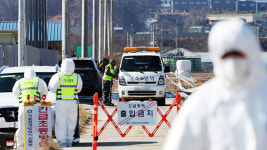 청주 메추리 농장서 고병원성 AI…농장 확진사례 총 8건