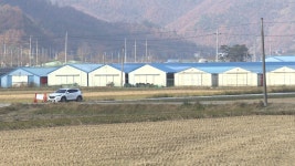 [출발 서해안 시대] “철새 급증에 빨라진 AI…차단 방역 비상”