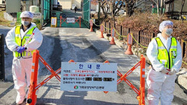 산란계 농장서 잇따라 AI…달걀 가격 소폭 상승