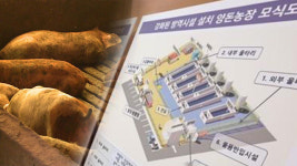 경기도, “양돈농가 ‘강화된 방역 시설’ 의무 설치해야”