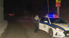 농장서 탈출한 곰 3마리 사살…주인 부부 숨진 채 발견