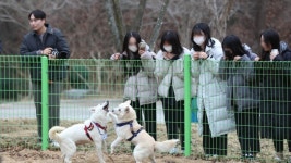 [무등의 아침] 문재인 전 대통령의 풍산개 ‘곰이·송강’ 재롱을 보려면…