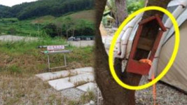 캠핑족 느는데 자동차야영장 안전관리 부실…감독강화 요청