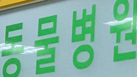 수의사 2인 이상 동물병원 진료비 게시 의무화…모레부터 시행