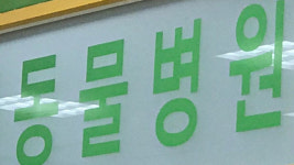 동물병원 수술 등 중대 진료 전 비용 고지 의무화