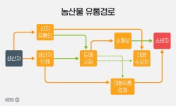 만 원 딸기 유통비는 4,300원, 온라인 가락시장에선?