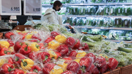 한파 영향 오이·애호박 가격 오름세…축산물 가격 안정적