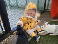 동물농장 토끼에 물려 15개월 아이 손가락 살점 ‘뜯겨’