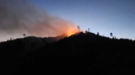 충남 금산 야간 산불…2시간 50여 분 만에 진화