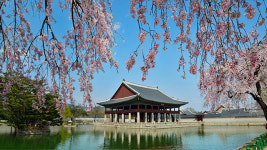 누각에서 즐기는 경복궁…4월부터 경회루 특별관람