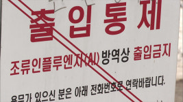 위기단계 하향 첫날 나주 오리농장서 AI 항원 검출…고병원성 확인 중