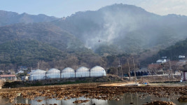 강화 마니산 산불 엿새 만에 재발화