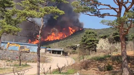 홍성·대전·금산 ‘산불 3단계’, 보령 ‘산불 2단계’ 발령