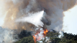 전국 곳곳 산불 진화에 군 헬기 6대·병력 420여 명 투입