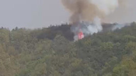 경북 안동 일직면 산불 1시간 반 만에 진화