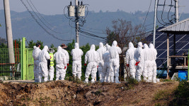청주 한우농장 2곳 구제역 의심 사례…발생 농장과 2백미터 거리