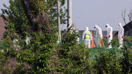 충북 청주·증평서 구제역 10번째 확인…염소농장에서도 발생