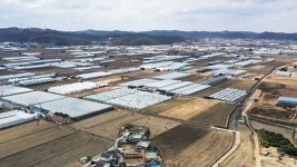 용인 반도체 메가클러스터 공사 2년 단축 추진