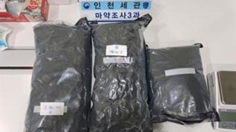 ‘1만 명 분량 대마, 가방에 숨겨 밀반입’…한국계 미국인 부부 기소