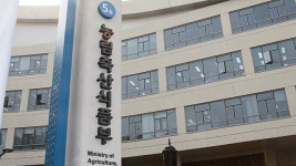 농식품부 “흑해곡물협정 중단, 국내 식품 물가 아직 영향 없어”