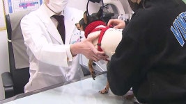 오늘부터 동물병원 진료비 공개…평균 초진 진찰료, 지역별로 최대 2배