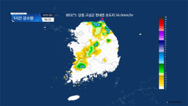 [속보] 강원 고성군 현내면에 1시간 동안 60.5mm 집중호우 내려