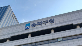 서울 송파구 도로에 가로수 쓰러져…한때 도로 통제