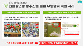 ‘가짜 친환경 농수산물’ 유통 43곳 경기도 특사경에 적발