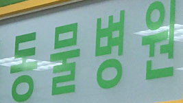 내일부터 부가세 면제 반려동물 진료 항목 확대