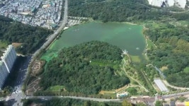 호수면적·수질 유지…광주 풍암호수 최종 수질개선안 도출