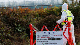 인천 강화도 축사 1곳서 소 럼피스킨병 추가 확진