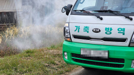 럼피스킨병 확진 농가 61곳으로 늘어…전남서도 첫 확진